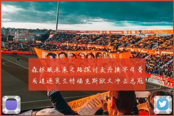 森林狼未来之路探讨麦丹换字母哥或追逐莫兰特福克斯欧文冲击总冠军